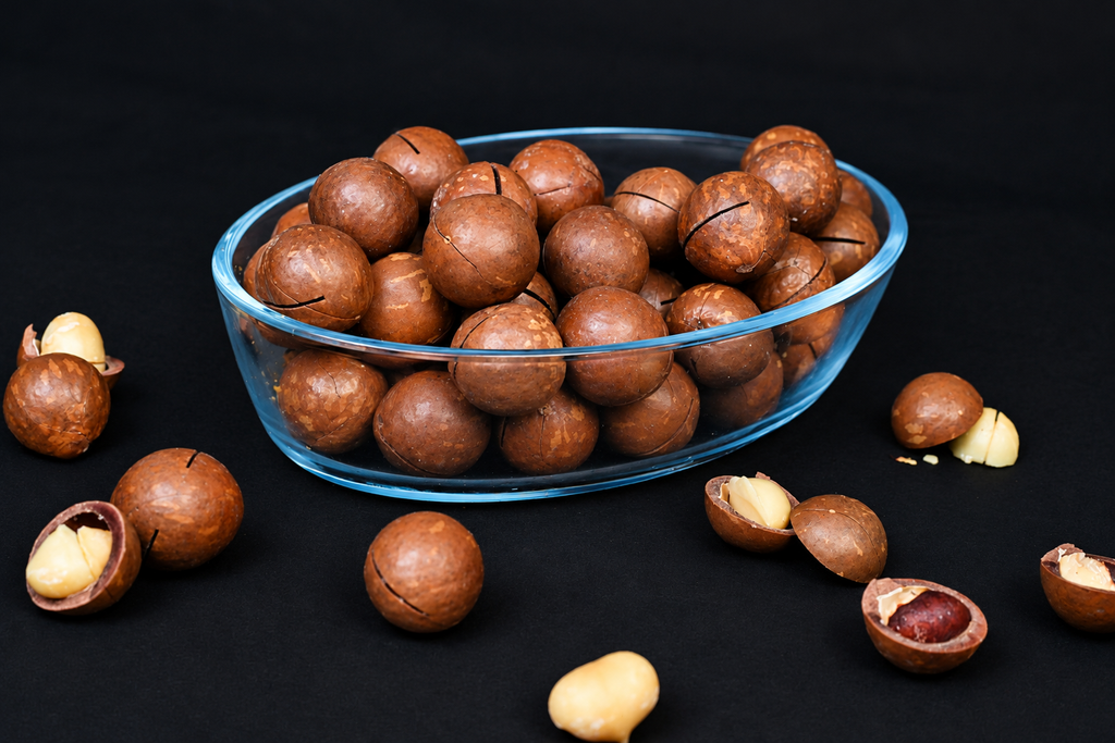 Macadamia in Shell